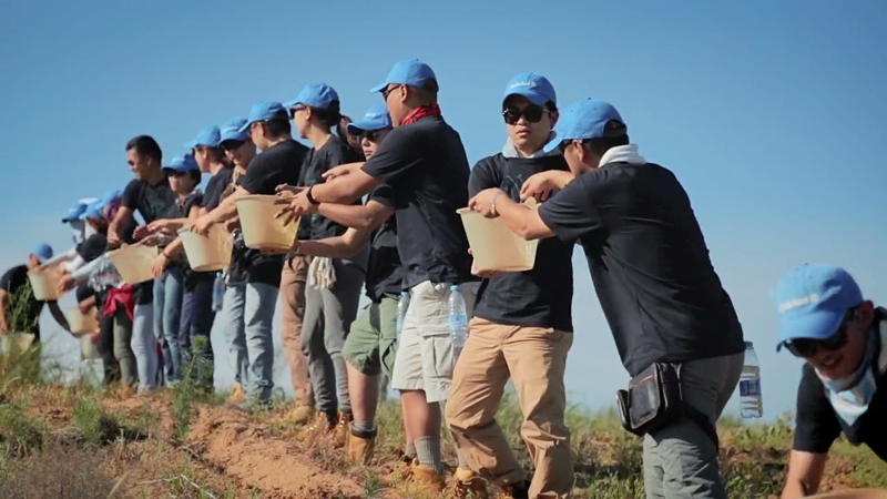 Timberland - The Horqin Desert Reforestation Project 2014